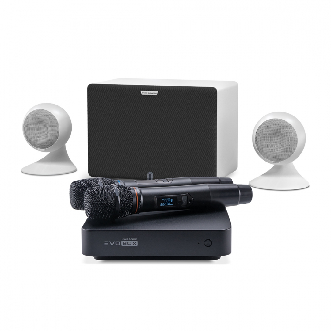 караоке-комплект EVOBOX Classic + EvoSound Sphere 2.1 в Черкесске