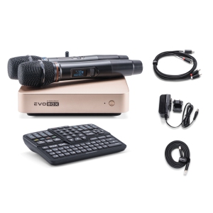 EVOBOX Classic караоке-система для дома в Черкесске