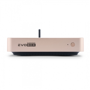 EVOBOX Plus караоке-система для дома в Черкесске